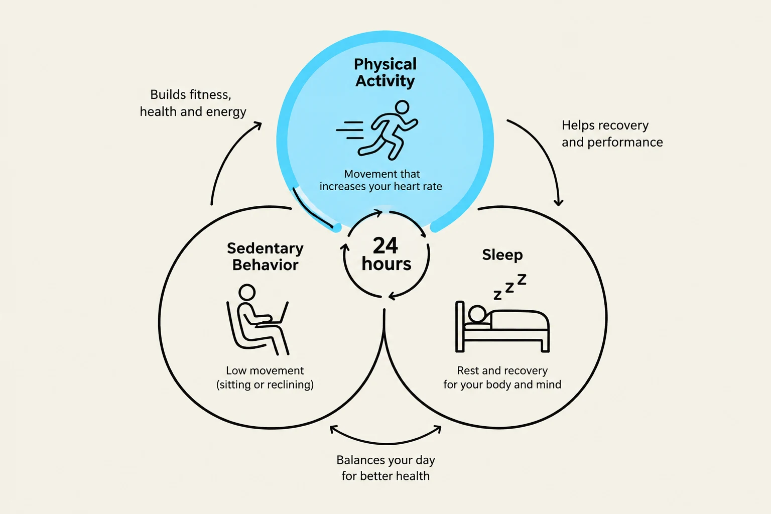 This diagram illustrates the relationship between physical activity, sedentary behavior, and sleep over a 24-hour period, highlighting their impact on overall health and energy levels.