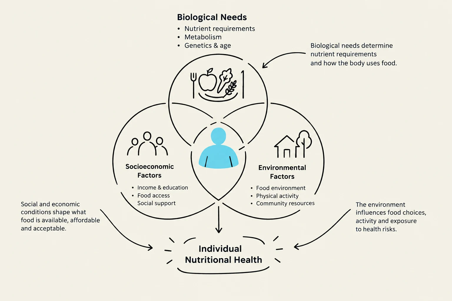 This diagram illustrates the multifaceted factors influencing individual nutritional health, including biological needs, socioeconomic factors, and environmental factors.
