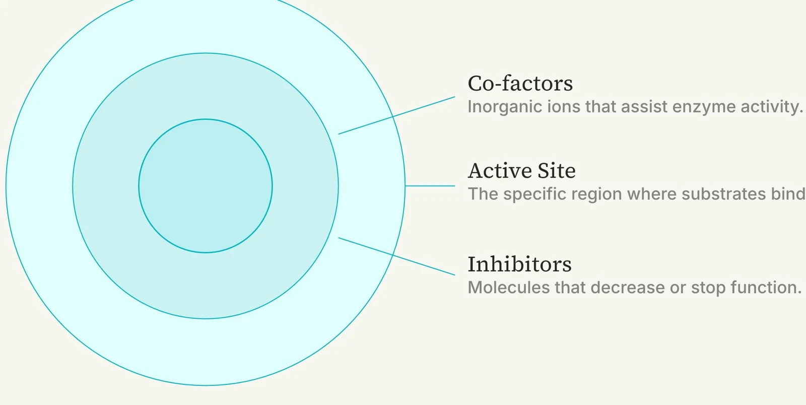 Diagram illustrating enzyme activity components: co-factors, active site, and inhibitors.