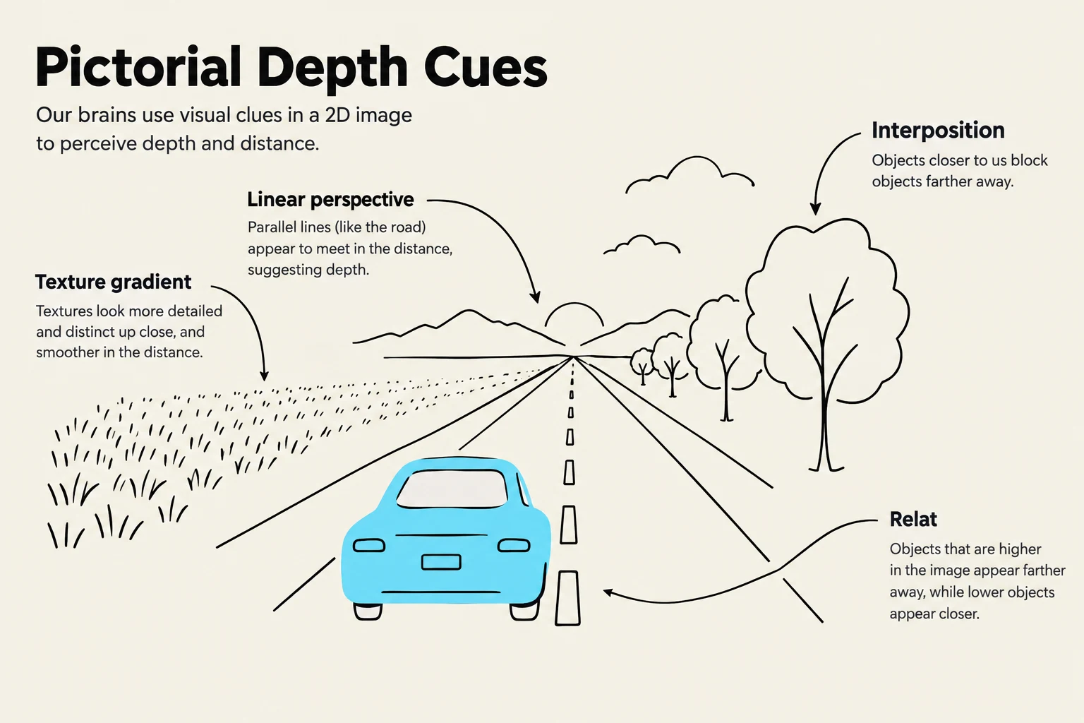 This illustration explains pictorial depth cues, which are visual elements in a 2D image that help us perceive depth and distance. These cues include texture gradient, linear perspective, interposition, and relative size/position.