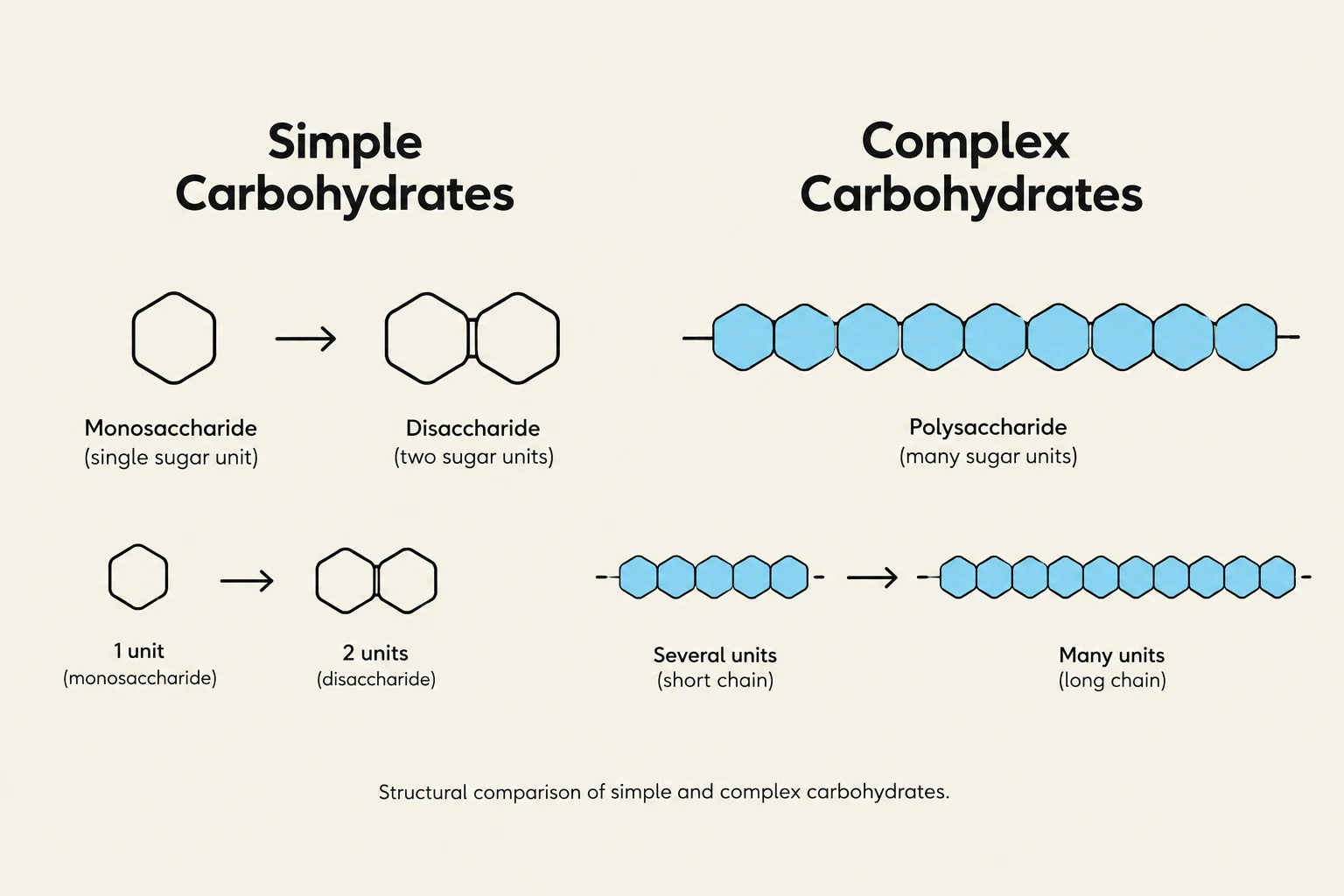 Structural comparison of simple and complex carbohydrates, illustrating monosaccharides, disaccharides, and polysaccharides.