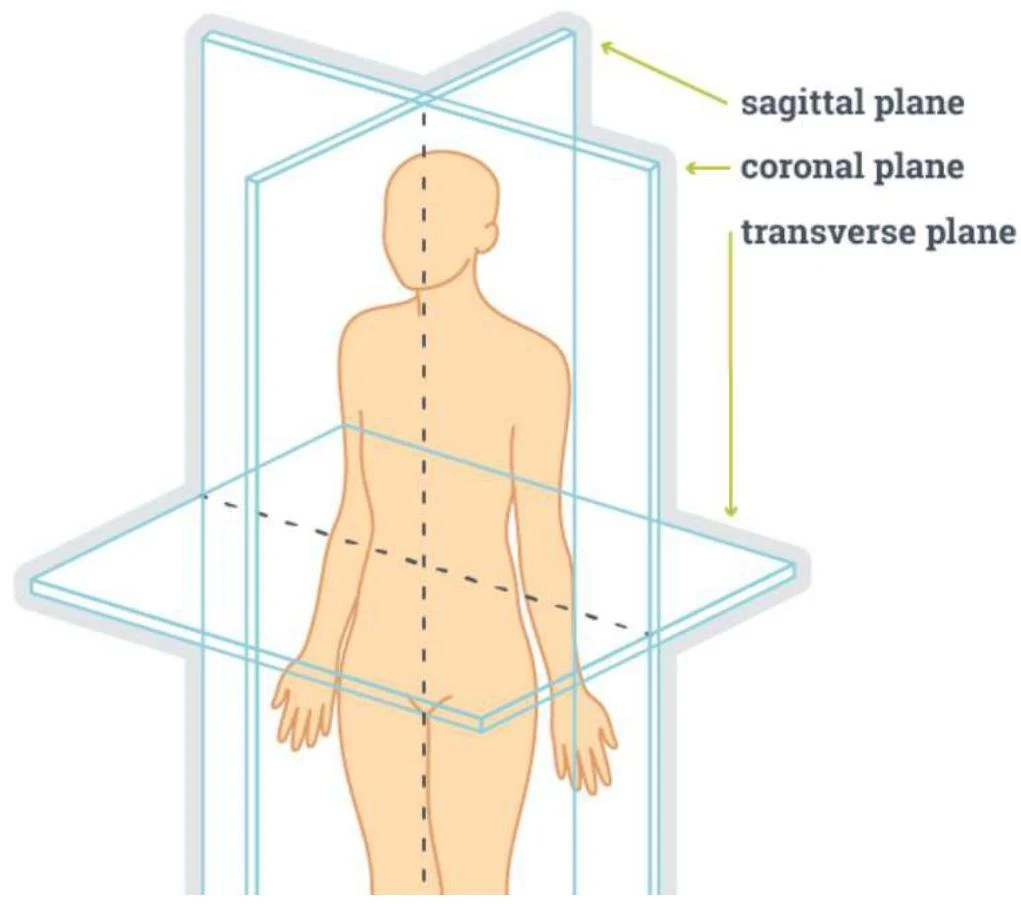 An illustration showing the three anatomical planes: sagittal, coronal, and transverse, relative to a human figure.