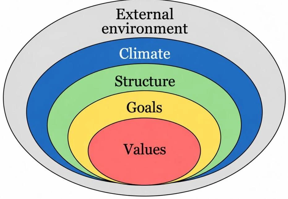 This diagram illustrates a nested model of organizational factors, starting with values at the core, progressing through goals and structure, and extending to climate and the external environment.