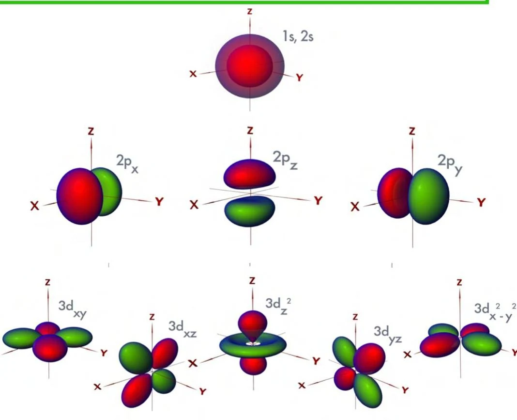 Atomic orbital shapes for s, p, and d subshells.