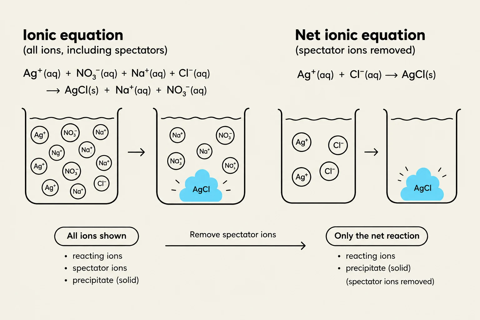 This illustration demonstrates the process of forming an ionic equation and a net ionic equation, showing the removal of spectator ions to represent the net reaction in a chemical process.