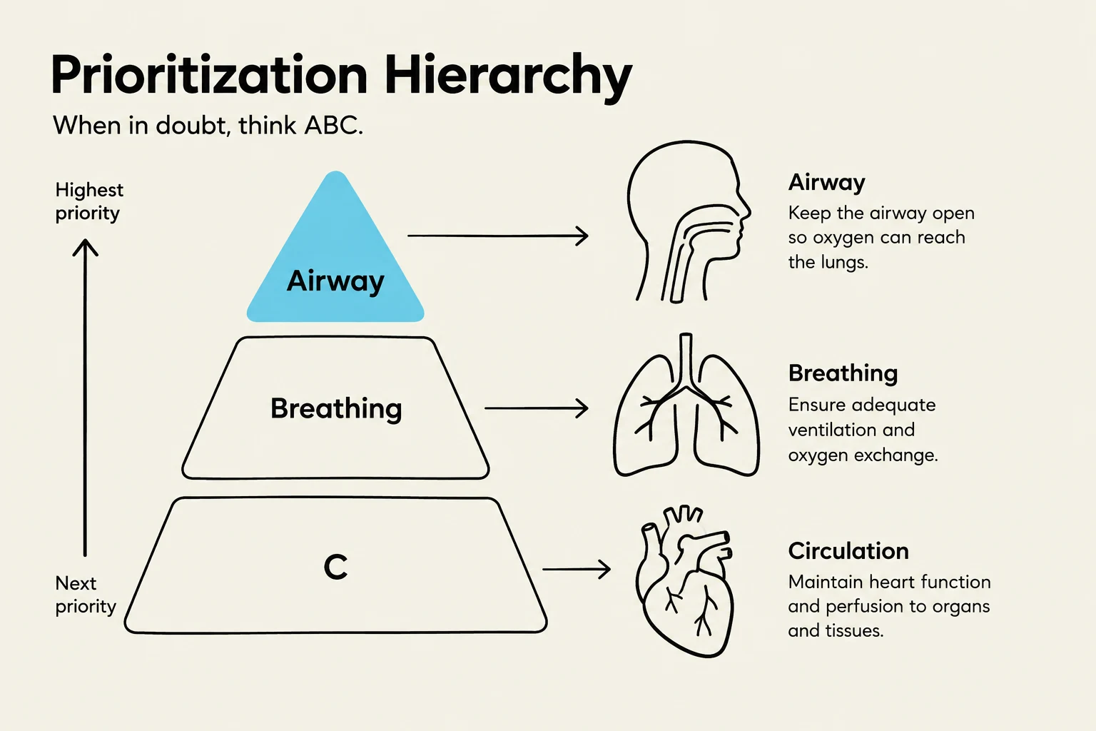 This diagram illustrates the ABC prioritization hierarchy: Airway, Breathing, and Circulation, which are critical for maintaining life functions.