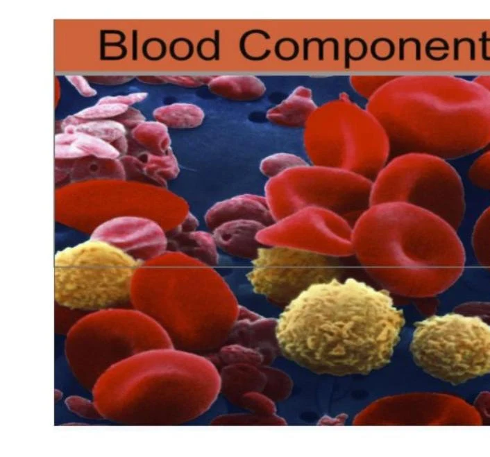 Microscopic view of blood components, including red blood cells and white blood cells.