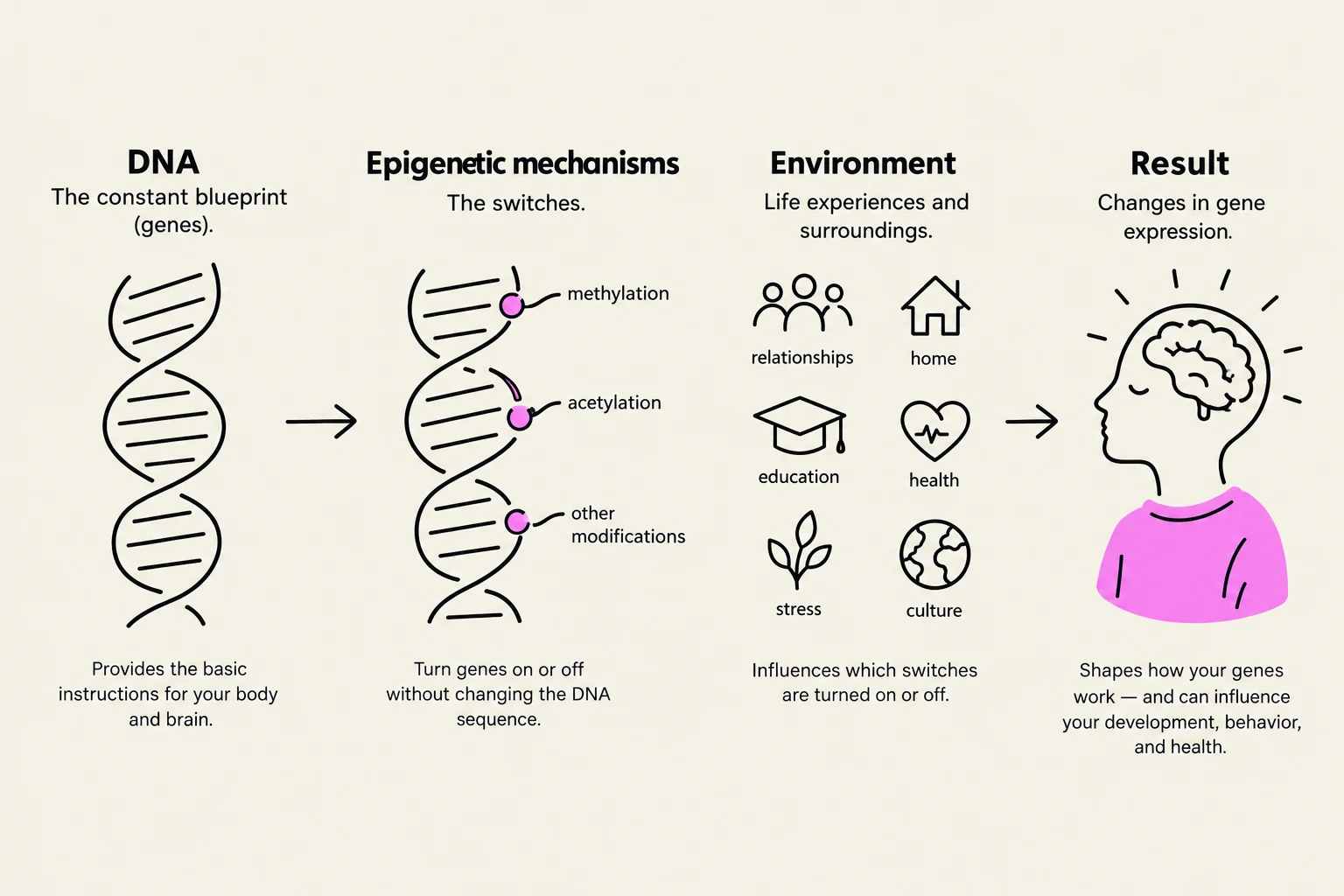 This diagram illustrates how DNA, epigenetic mechanisms, and environmental factors interact to influence gene expression and ultimately shape an individual's development, behavior, and health.