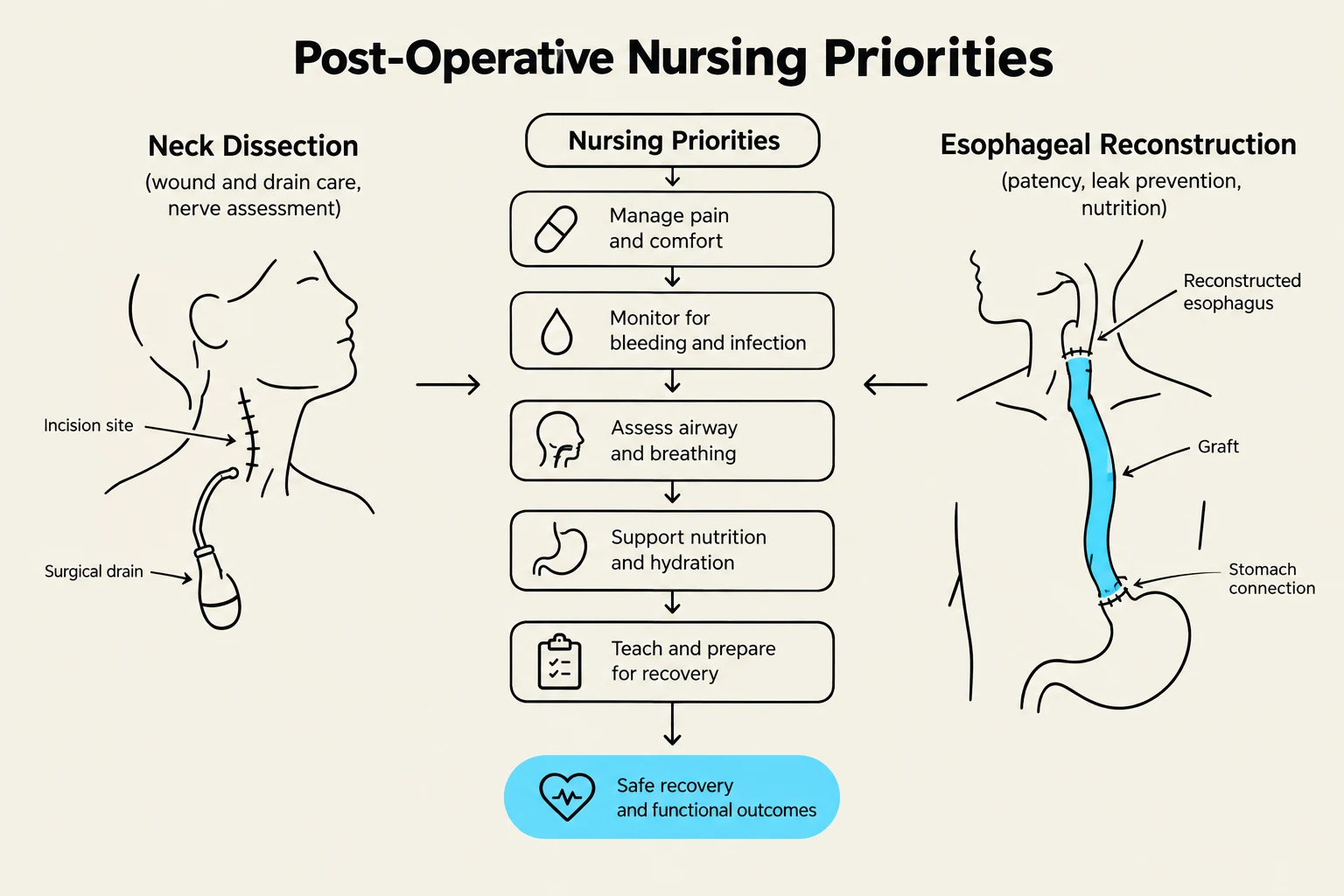 This diagram outlines the post-operative nursing priorities for patients undergoing neck dissection and esophageal reconstruction, emphasizing wound care, pain management, monitoring for complications, airway assessment, nutrition support, and patient preparation for recovery.