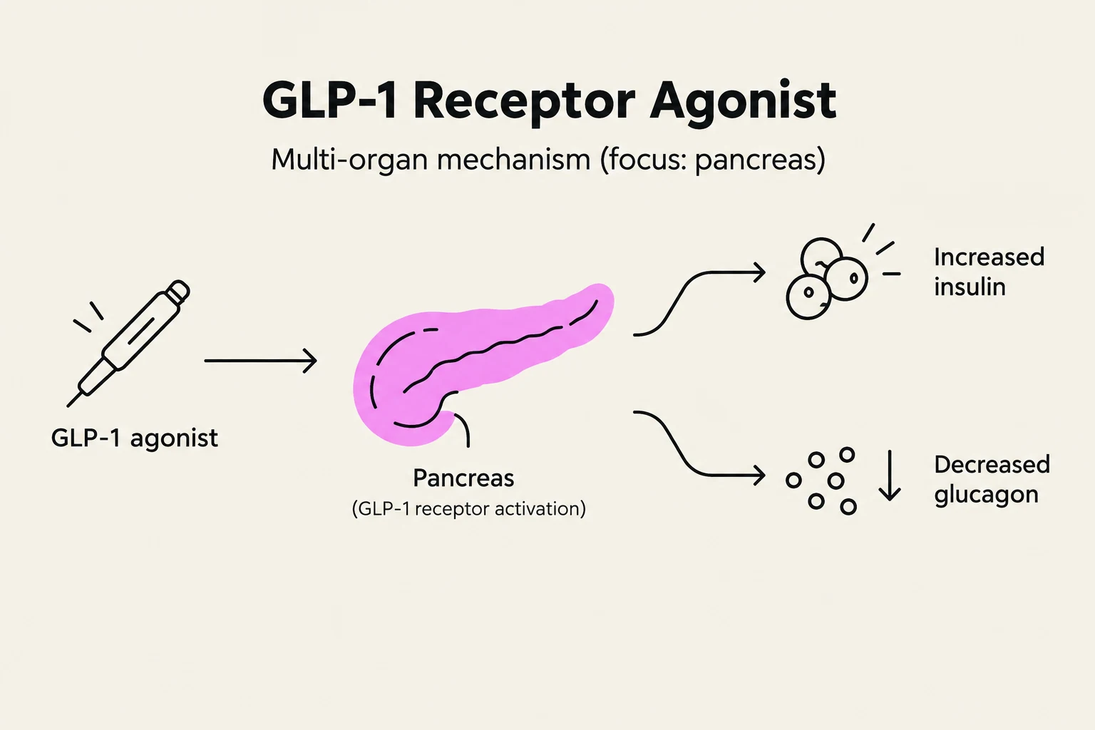 Diagram illustrating the multi-organ mechanism of GLP-1 receptor agonists, focusing on their effect on the pancreas to increase insulin and decrease glucagon.