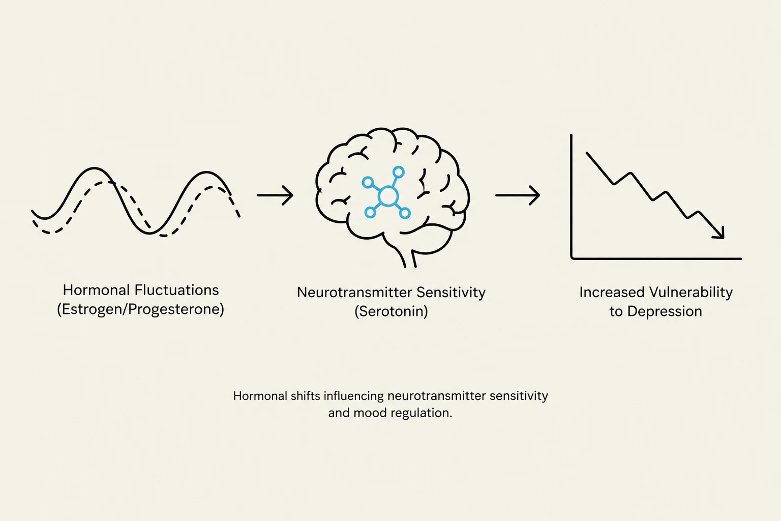 This diagram illustrates how hormonal fluctuations, specifically estrogen and progesterone, can affect neurotransmitter sensitivity, such as serotonin, leading to an increased vulnerability to depression.