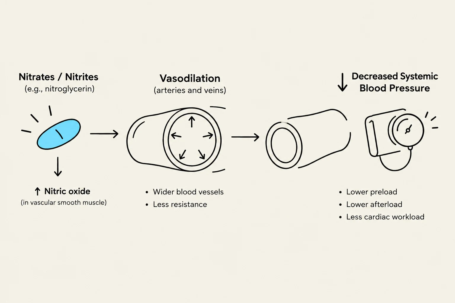 This diagram illustrates how nitrates and nitrites, such as nitroglycerin, lead to vasodilation by increasing nitric oxide production in vascular smooth muscle. This widening of blood vessels reduces resistance, preload, afterload, and cardiac workload, ultimately decreasing systemic blood pressure.
