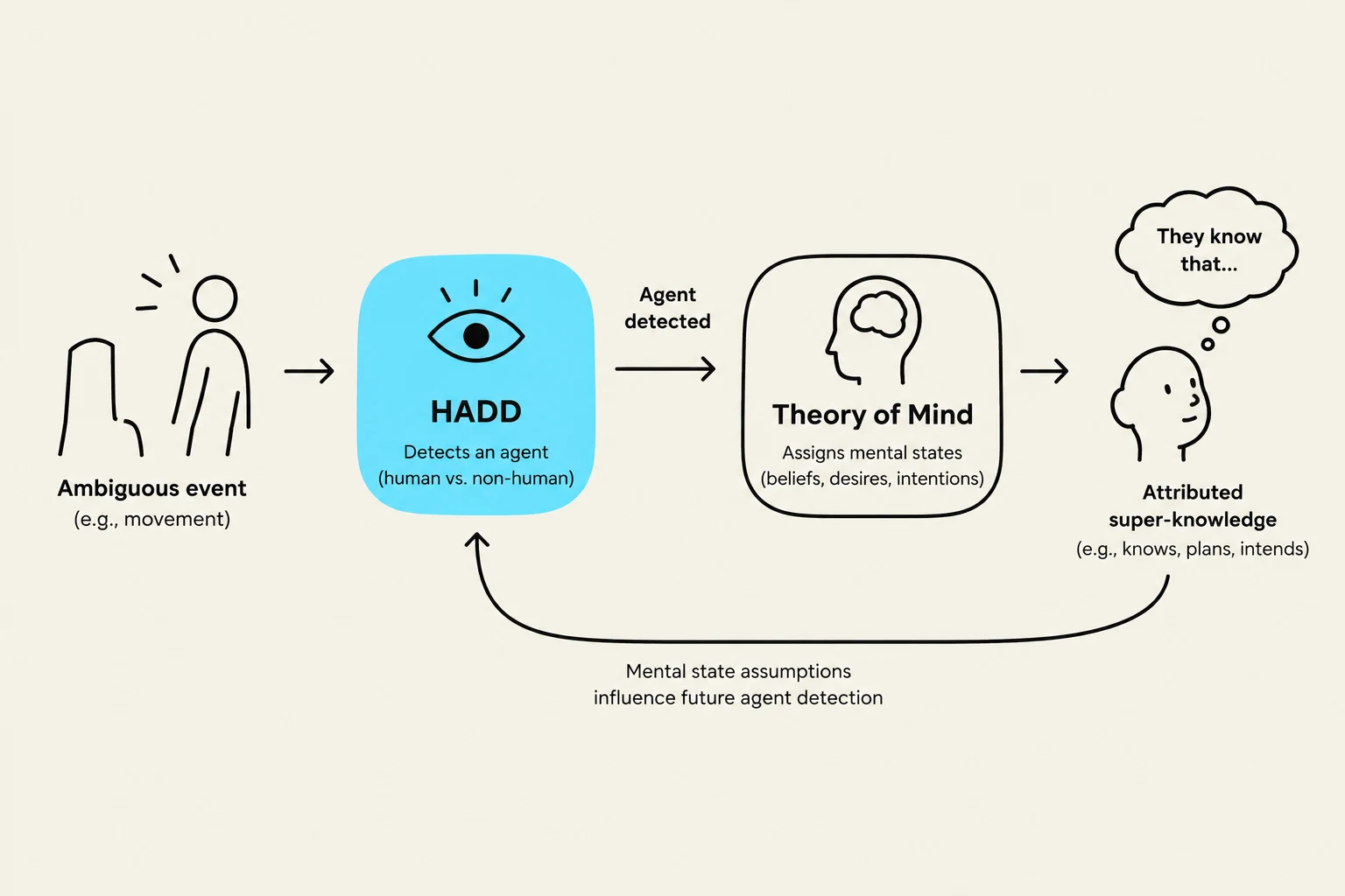 This diagram illustrates the concept of Theory of Mind, showing how an ambiguous event can lead to agent detection, followed by the assignment of mental states, and resulting in attributed super-knowledge.