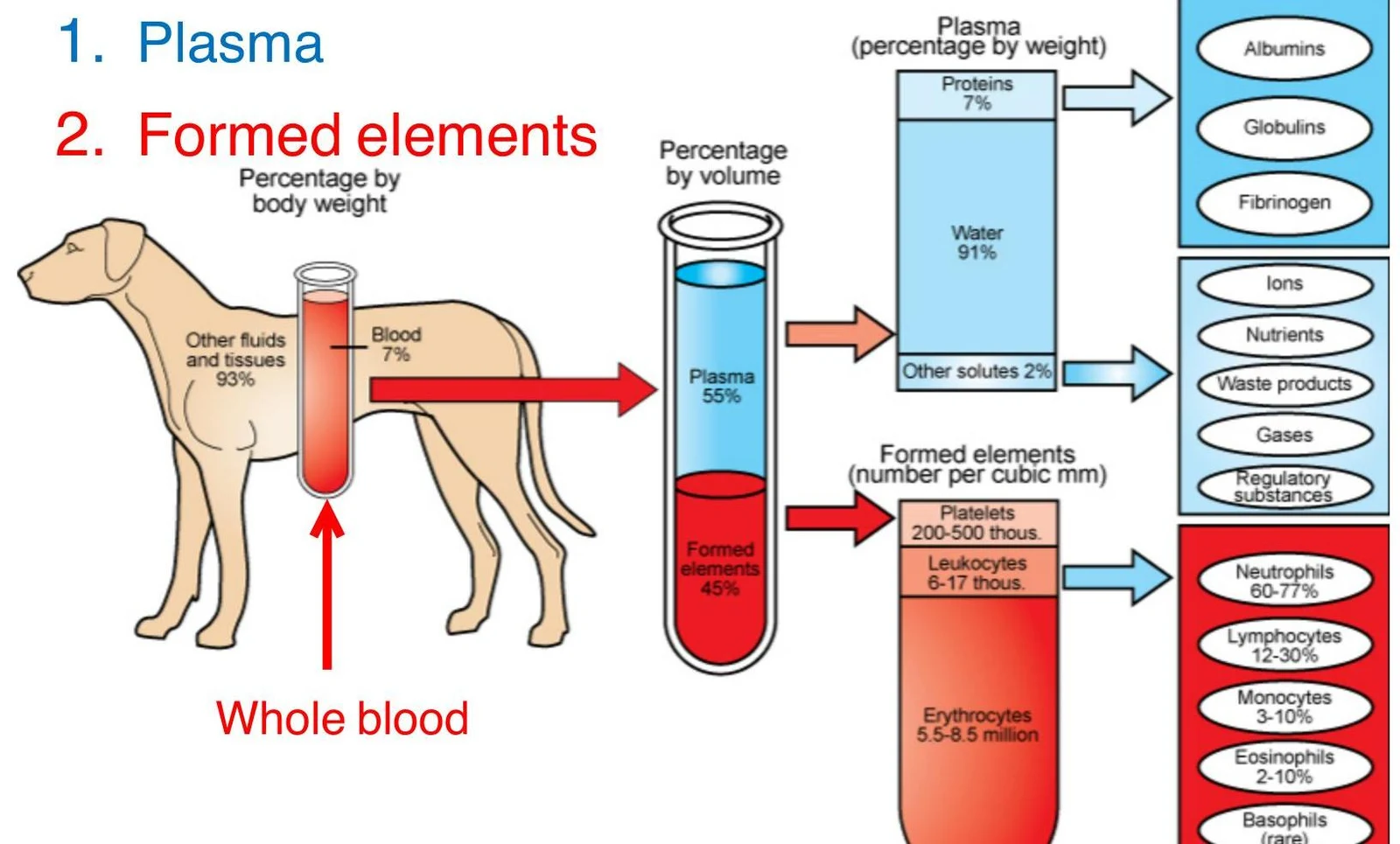 This diagram illustrates the composition of whole blood in a dog, differentiating between plasma and formed elements. It further breaks down plasma into water, proteins, and other solutes, and formed elements into platelets, leukocytes, and erythrocytes. The percentages and counts of these components are also provided.