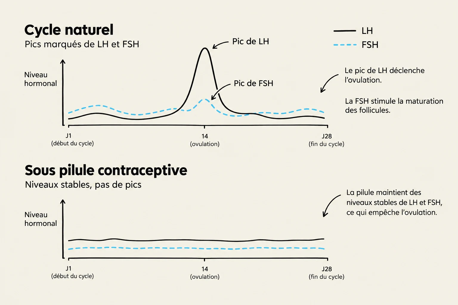 Comparison of hormonal levels (LH and FSH) during a natural menstrual cycle versus a cycle under contraceptive pill, illustrating ovulation triggers and suppression.