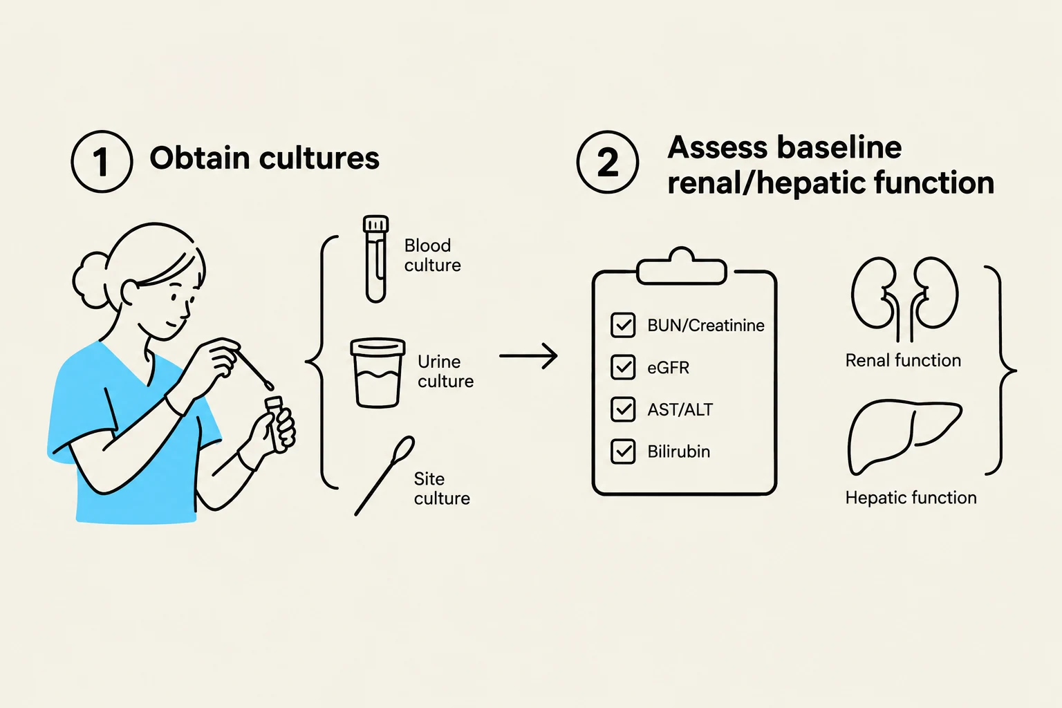 This diagram illustrates the process of obtaining cultures and assessing baseline renal and hepatic function, which involves checking BUN/Creatinine, eGFR, AST/ALT, and Bilirubin levels.