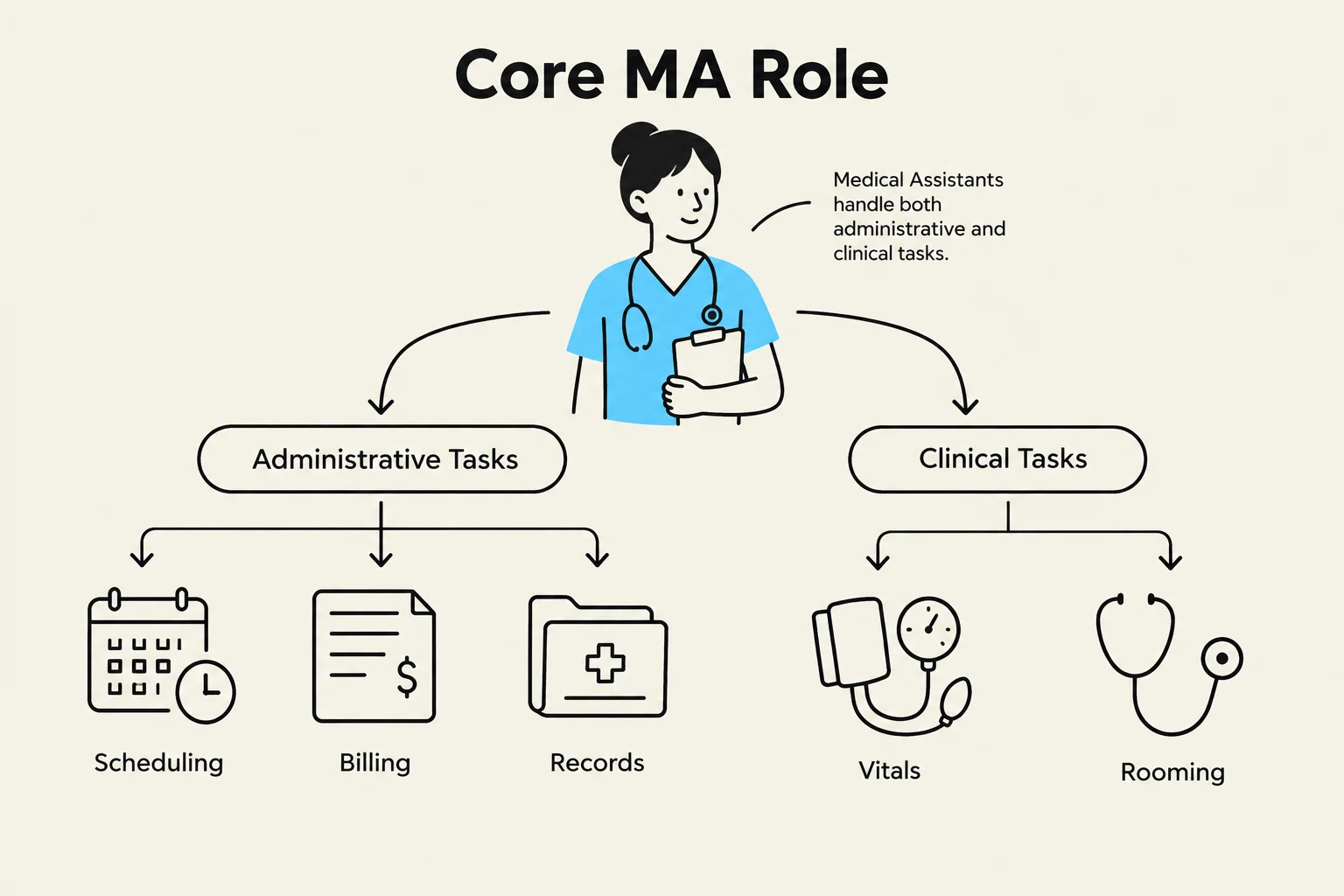 This diagram outlines the core roles of a Medical Assistant (MA), categorizing their responsibilities into administrative tasks such as scheduling, billing, and record-keeping, and clinical tasks including taking vitals and rooming patients.