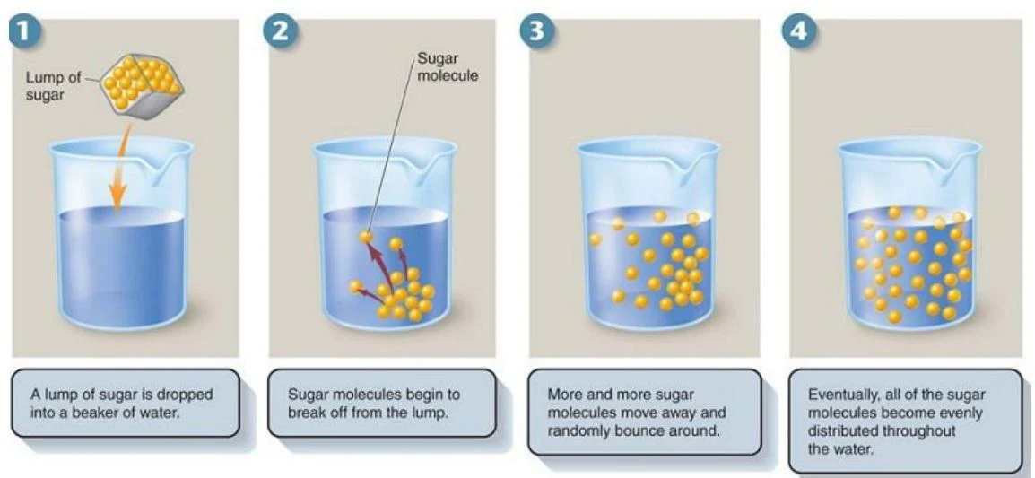 This illustration shows the process of sugar dissolving in water, demonstrating diffusion at a molecular level.