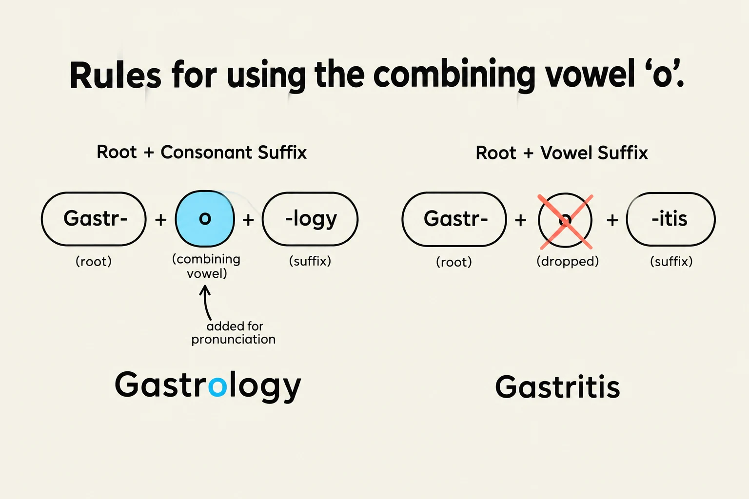 This diagram illustrates the rules for using the combining vowel 'o' in word formation, specifically showing how it is used with consonant suffixes (like in 'gastrology') and omitted with vowel suffixes (like in 'gastritis').