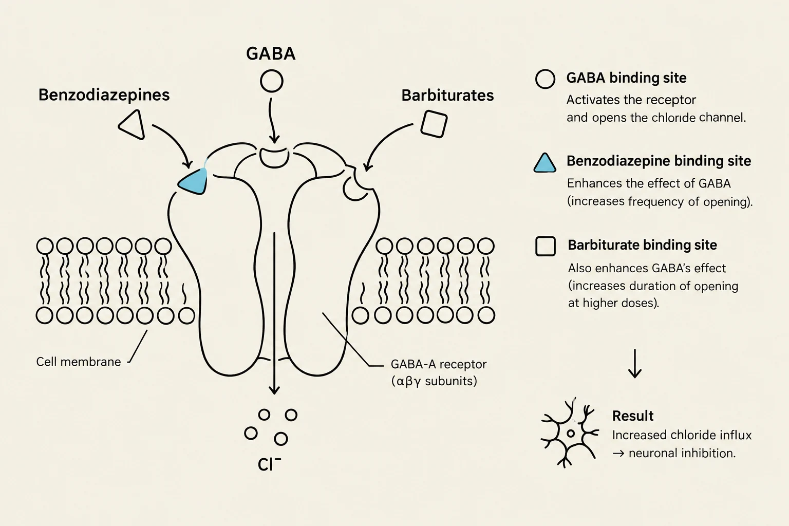 Diagram illustrating the mechanism of action of GABA, benzodiazepines, and barbiturates on the GABA-A receptor, leading to increased chloride influx and neuronal inhibition.