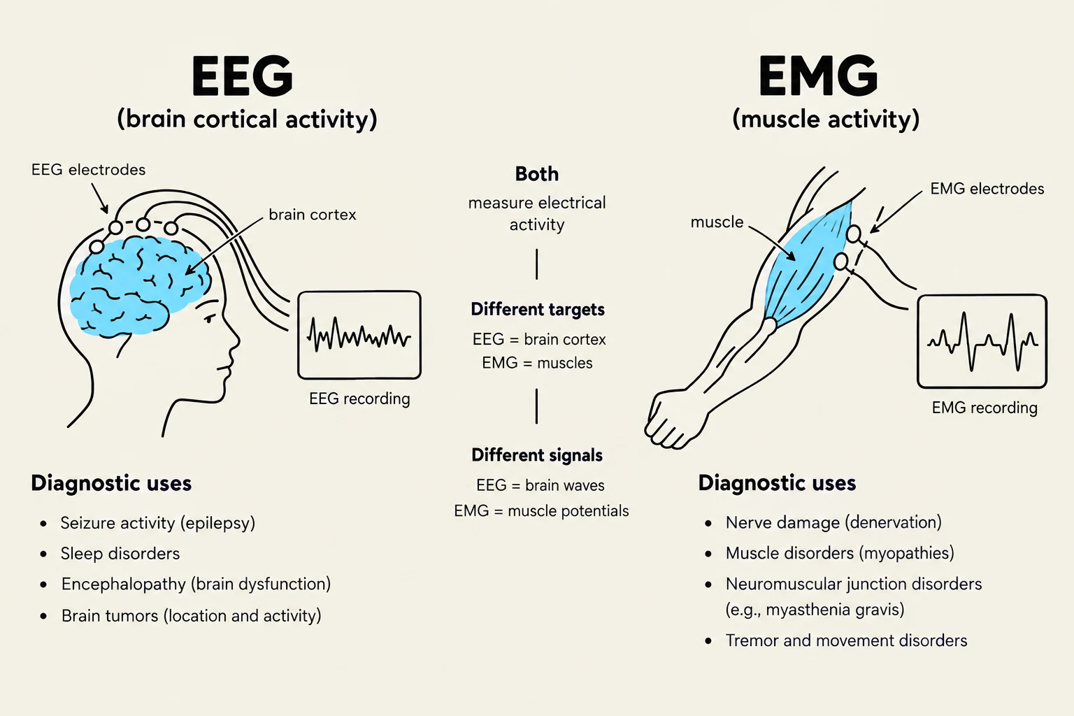 This diagram illustrates the principles of Electroencephalography (EEG) and Electromyography (EMG), showing how they measure brain and muscle activity, respectively, and lists their diagnostic uses.