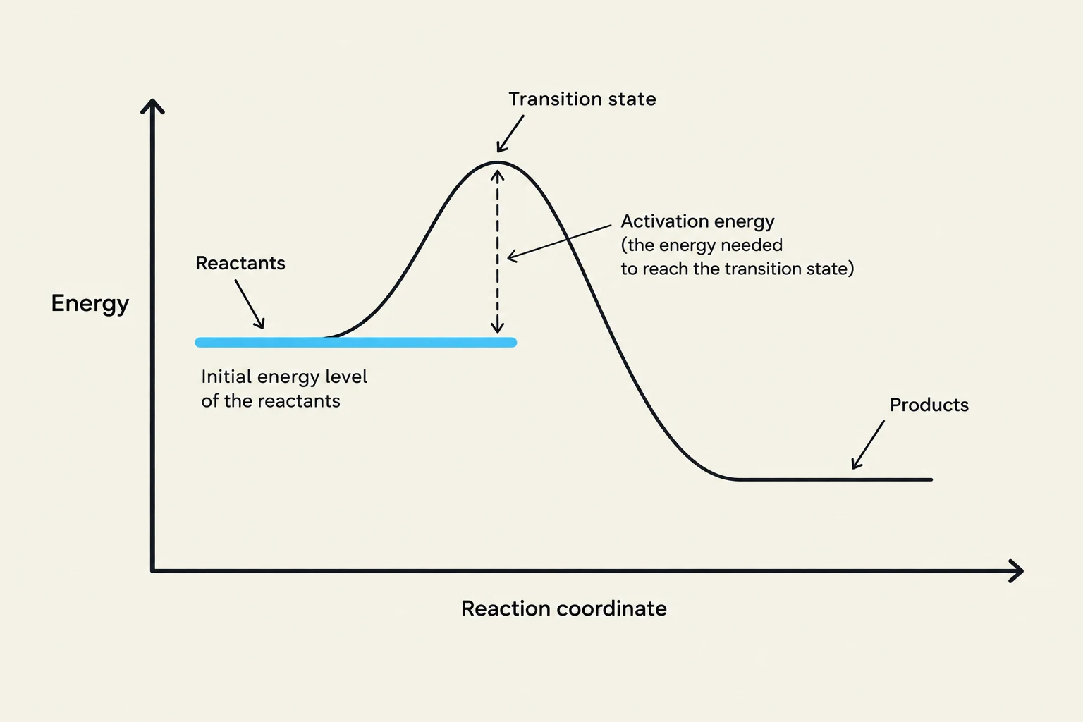 This graph illustrates the energy profile of a chemical reaction, showing the change in energy as reactants transform into products through a transition state, with activation energy representing the energy barrier.