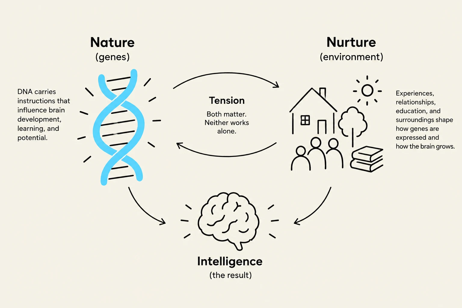 This diagram illustrates the interplay between nature (genes) and nurture (environment) in shaping intelligence. It highlights that both factors are crucial and work together, neither functioning in isolation.