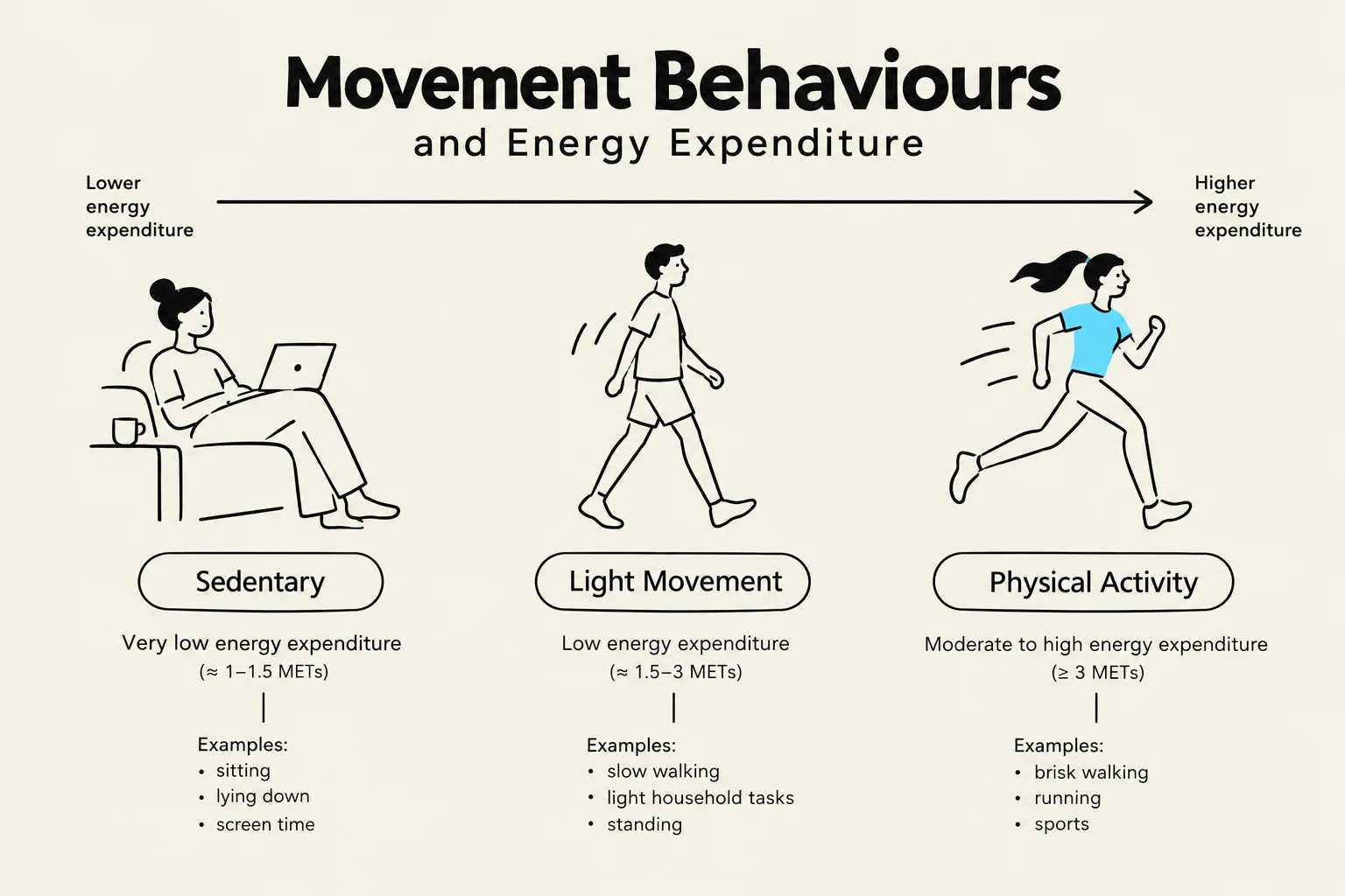 This illustration depicts different movement behaviors and their associated energy expenditure, categorizing them into sedentary, light movement, and physical activity, with examples for each.