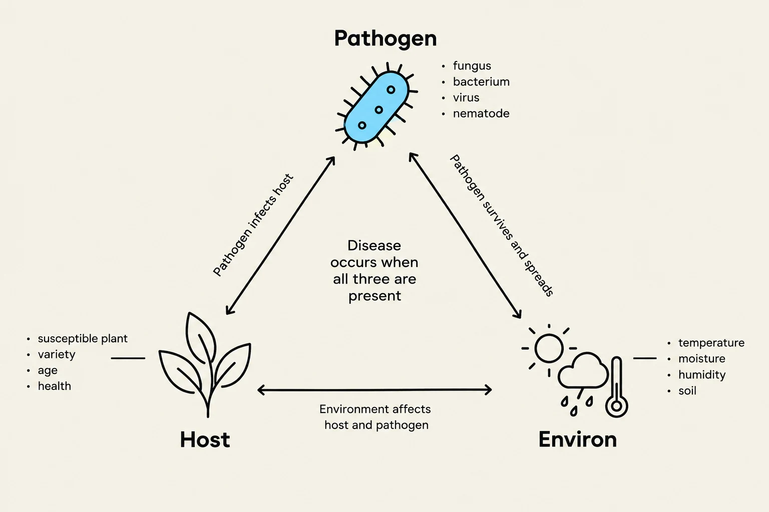 This diagram illustrates the relationship between a pathogen, host, and environment in the occurrence of disease. Disease arises when all three elements are present, with the pathogen infecting the host and surviving/spreading within the environment. Factors like temperature, moisture, humidity, and soil influence the environment, while the host's susceptibility, variety, age, and health also play a role.