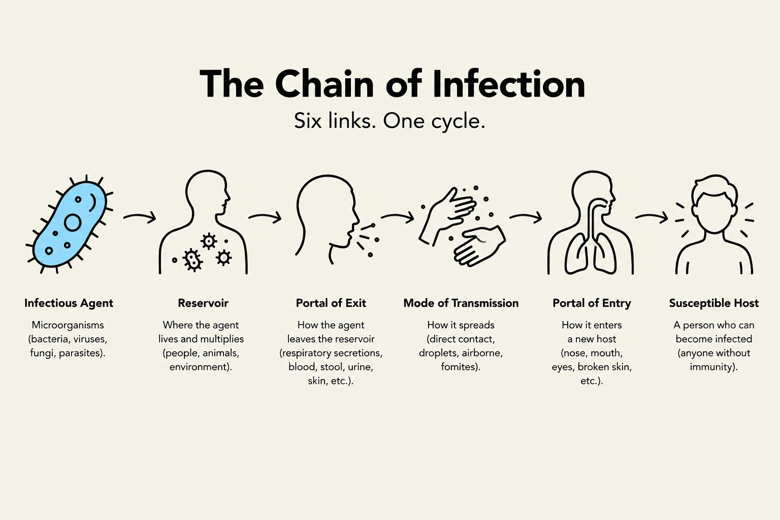 The chain of infection illustrates the six essential links required for a disease to spread: infectious agent, reservoir, portal of exit, mode of transmission, portal of entry, and susceptible host.