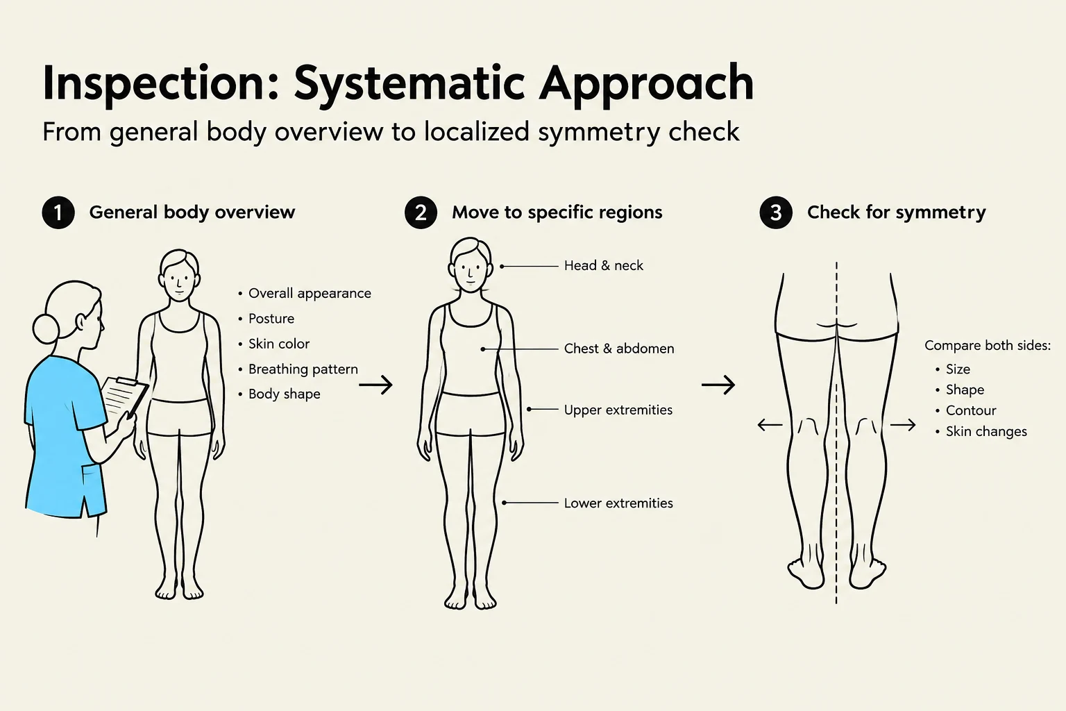 This diagram illustrates a systematic approach to physical inspection, starting with a general body overview, moving to specific regions, and concluding with a check for symmetry.