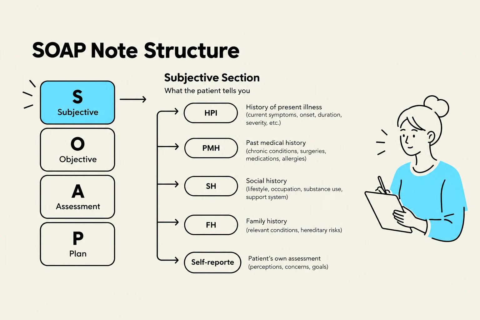 This diagram illustrates the structure of a SOAP note, a method used in healthcare for documentation. It breaks down the note into Subjective, Objective, Assessment, and Plan sections, with further details on what information is included in the Subjective section.