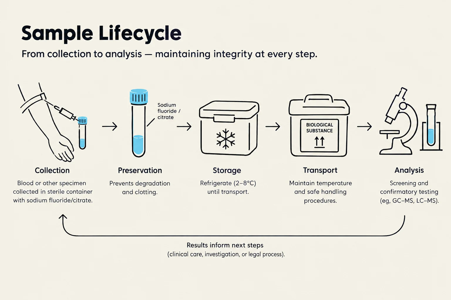 This diagram illustrates the lifecycle of a biological sample, from collection and preservation to storage, transport, and final analysis, emphasizing the importance of maintaining sample integrity throughout the process.