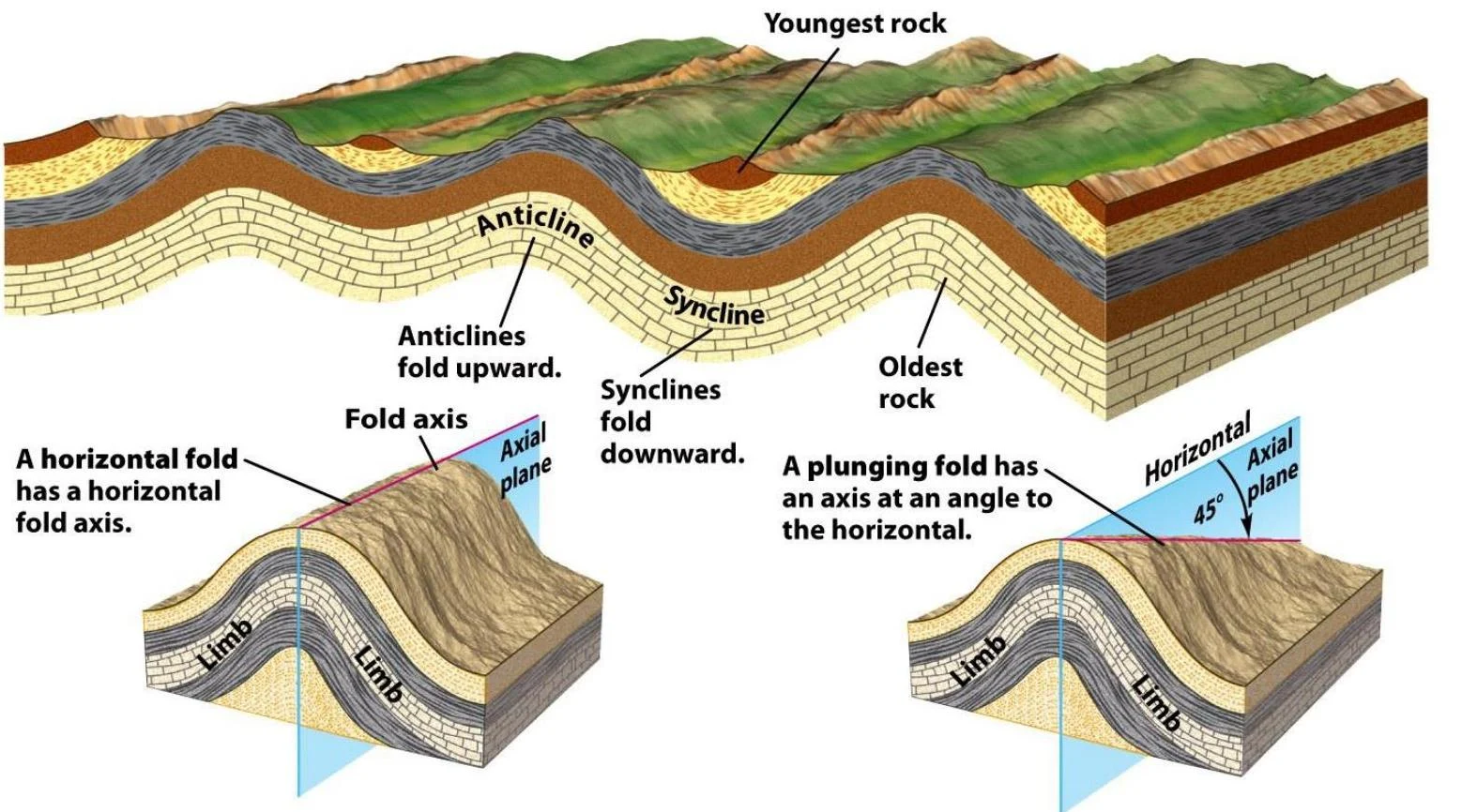 This illustration depicts geological folds, specifically anticlines and synclines, and differentiates between horizontal and plunging folds with their respective axial planes.