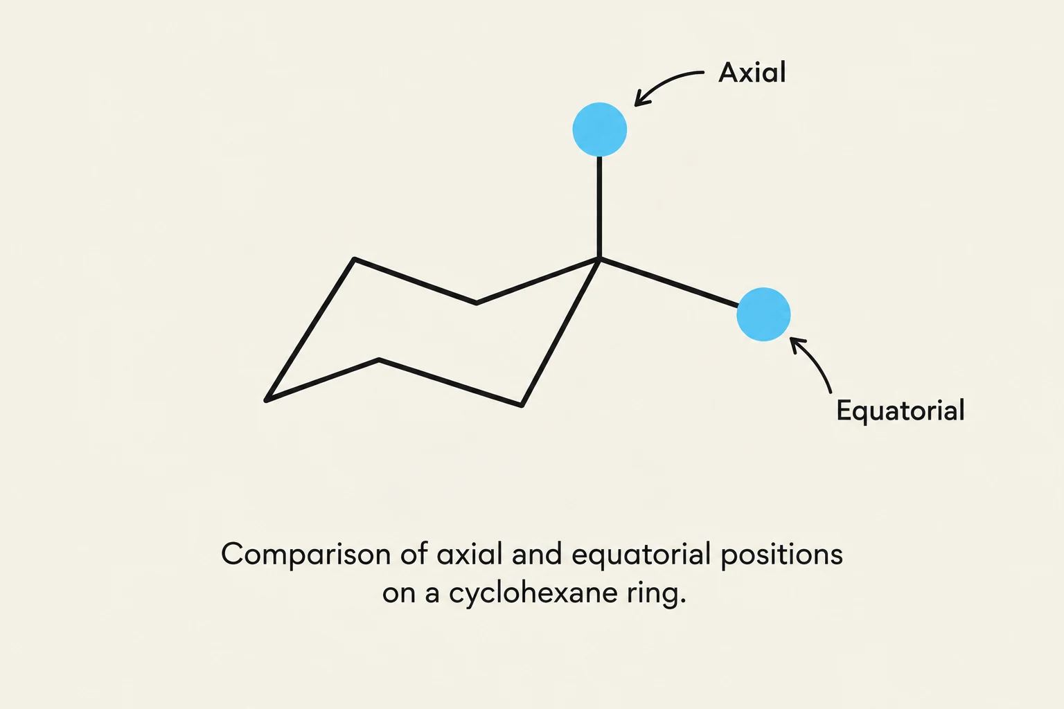 Comparison of axial and equatorial positions on a cyclohexane ring.