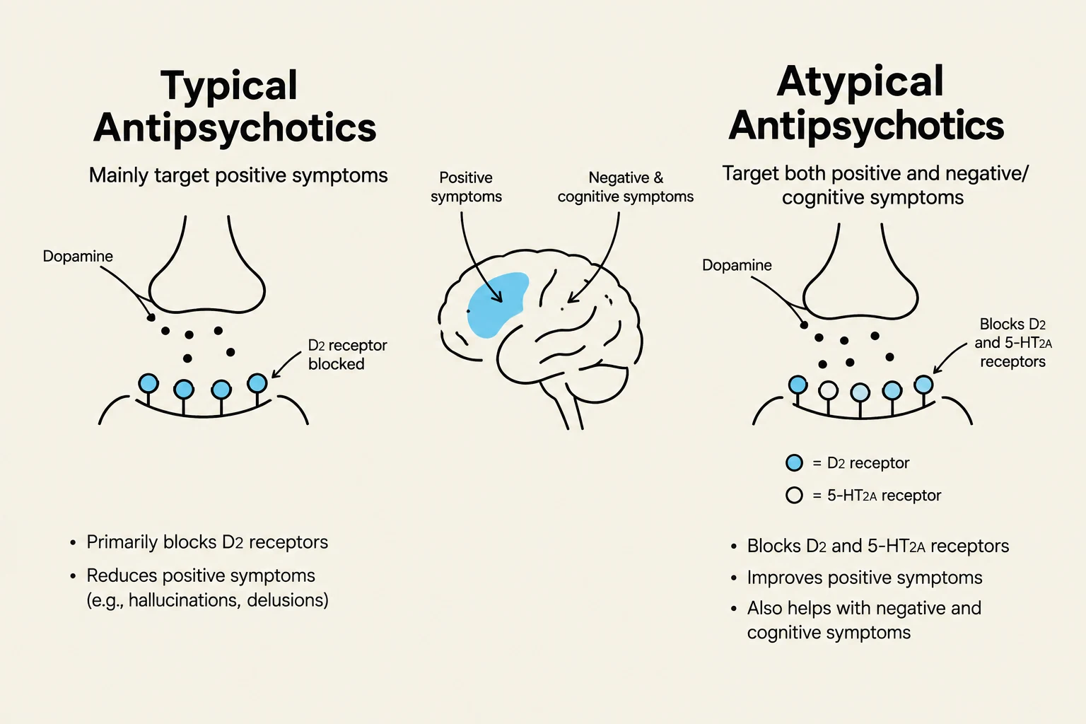 This diagram illustrates the mechanisms of action for typical and atypical antipsychotics, showing how they affect dopamine receptors and target different symptom categories in the brain.