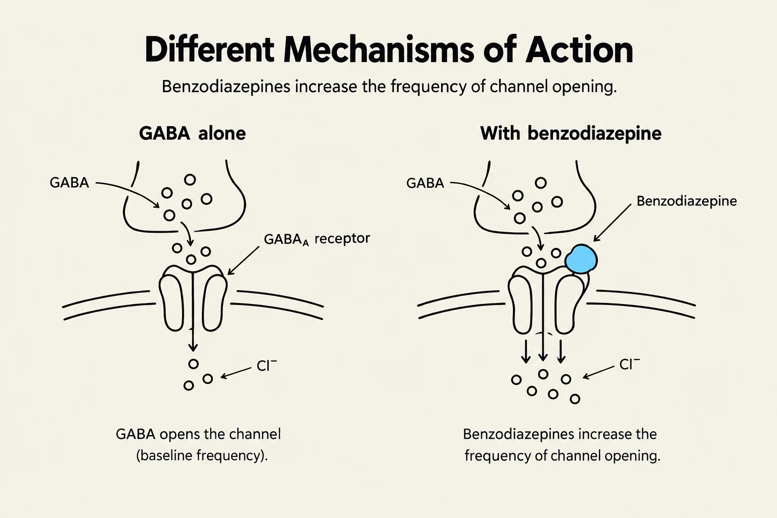 This diagram illustrates how benzodiazepines affect GABA receptors. GABA alone opens the channel at a baseline frequency, allowing chloride ions (Cl-) to pass. With benzodiazepine present, the frequency of channel opening increases, leading to greater chloride ion influx.