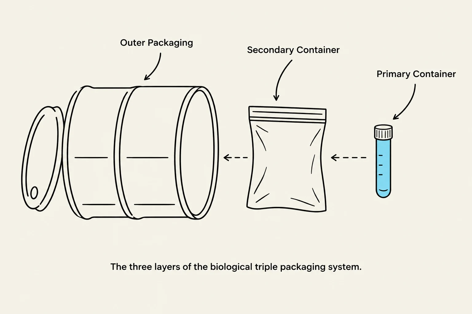 The three layers of the biological triple packaging system.