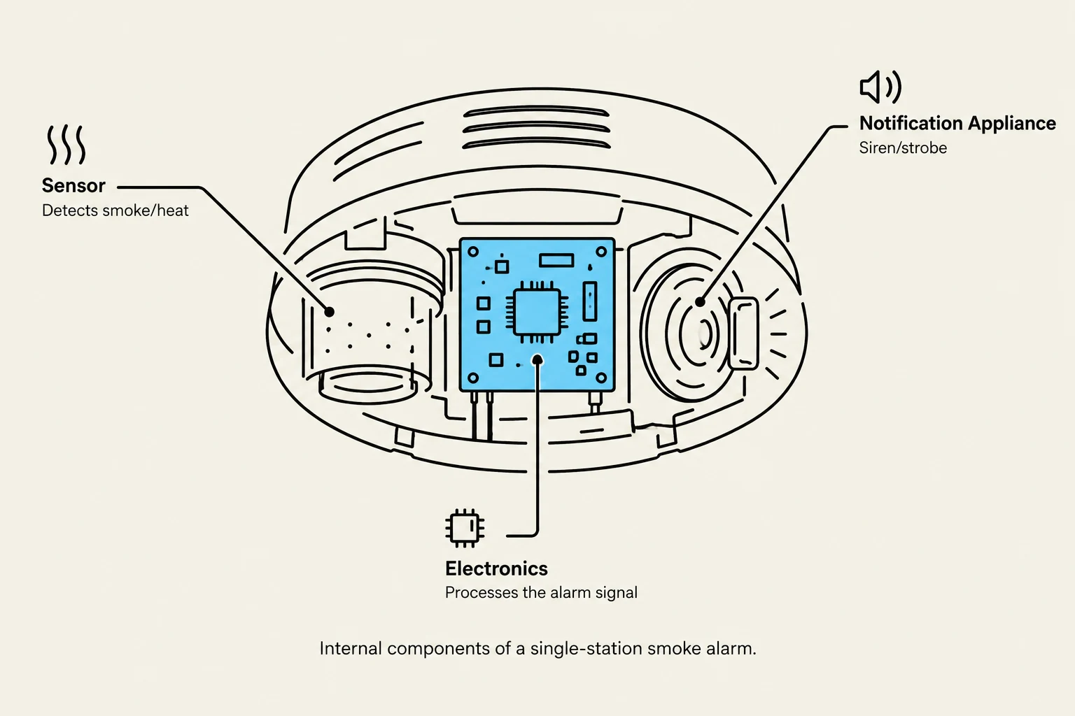 Internal components of a single-station smoke alarm, including the sensor, electronics, and notification appliance.