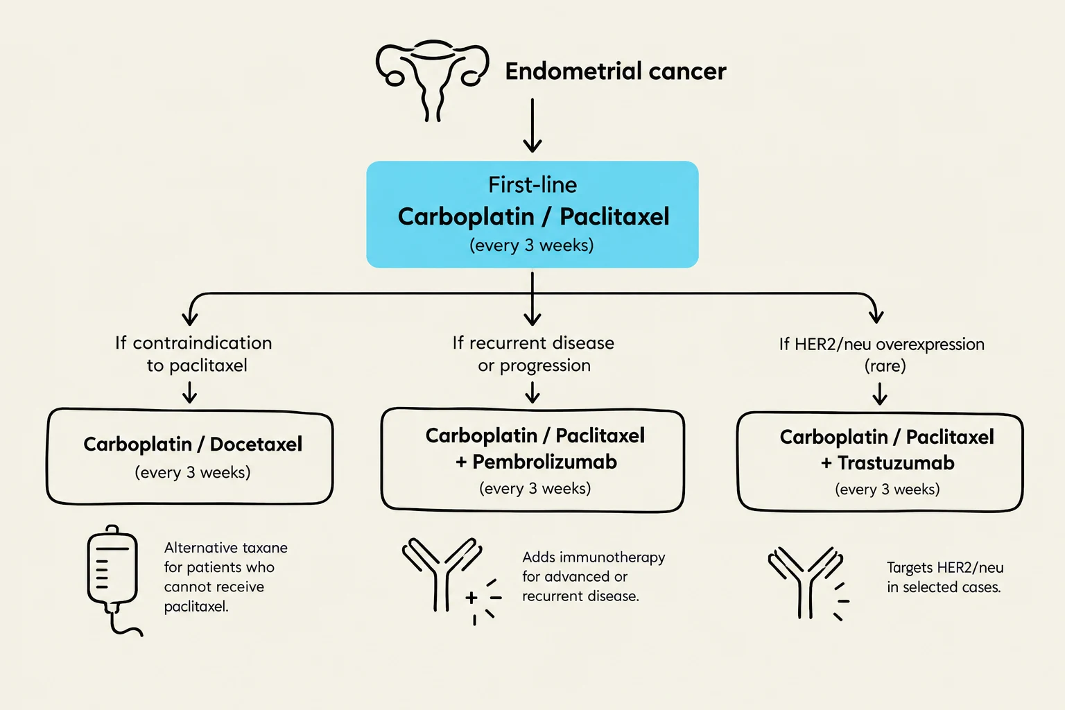 This flowchart illustrates treatment options for endometrial cancer, detailing first-line therapy and subsequent treatment pathways based on contraindications, disease progression, or HER2/neu overexpression.