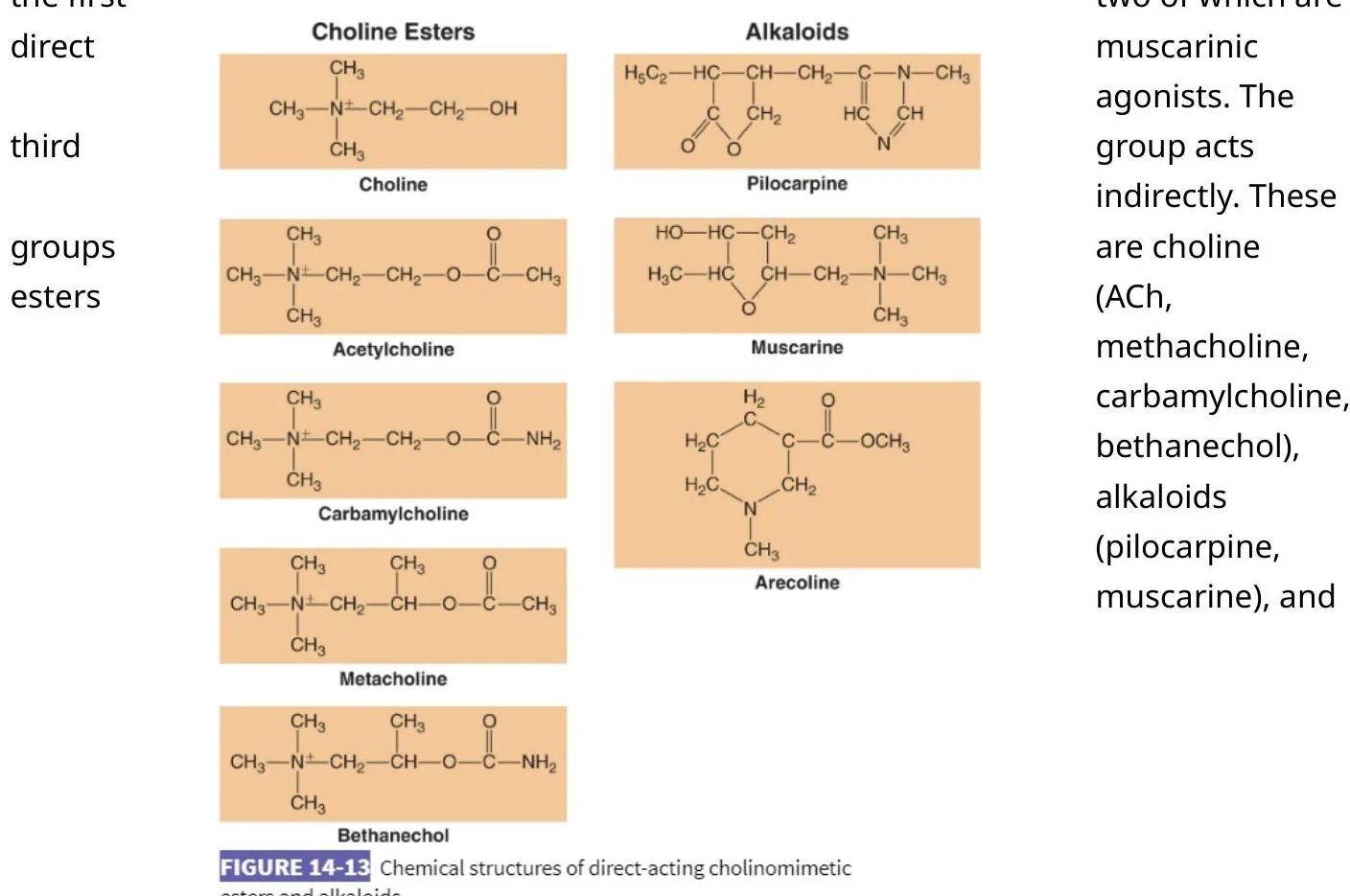 Chemical structures of direct-acting cholinomimetic esters and alkaloids.