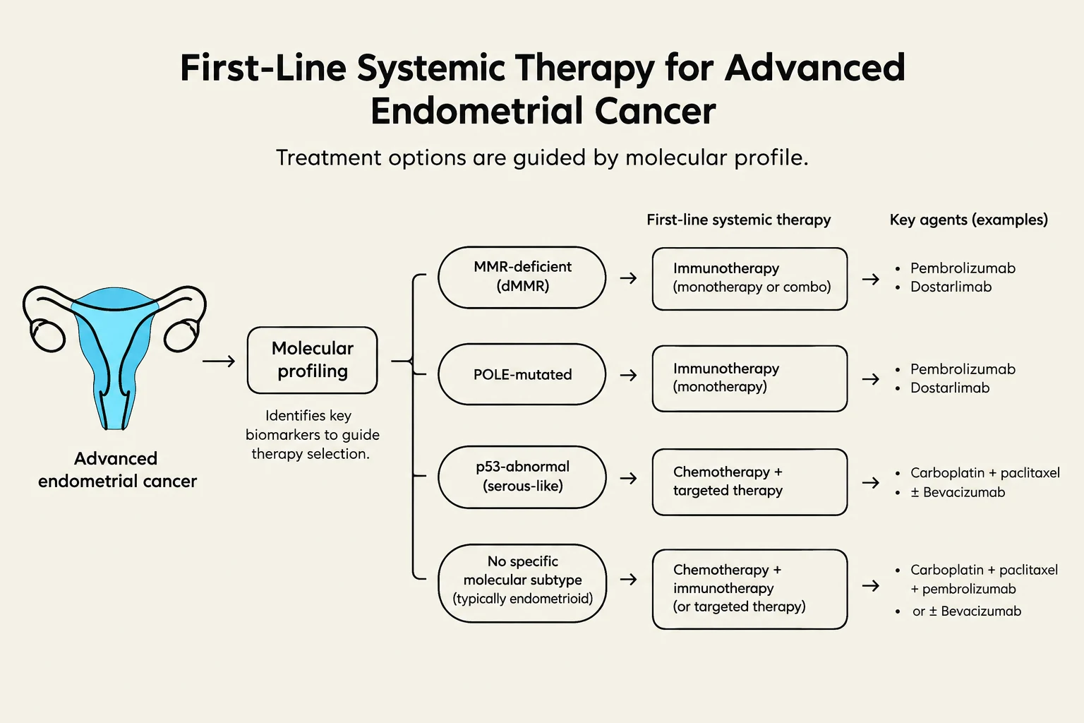 This diagram outlines first-line systemic therapy options for advanced endometrial cancer, guided by molecular profiling. Different molecular subtypes (MMR-deficient, POLE-mutated, p53-abnormal, or no specific subtype) lead to distinct treatment approaches involving immunotherapy, chemotherapy, targeted therapy, and specific key agents.