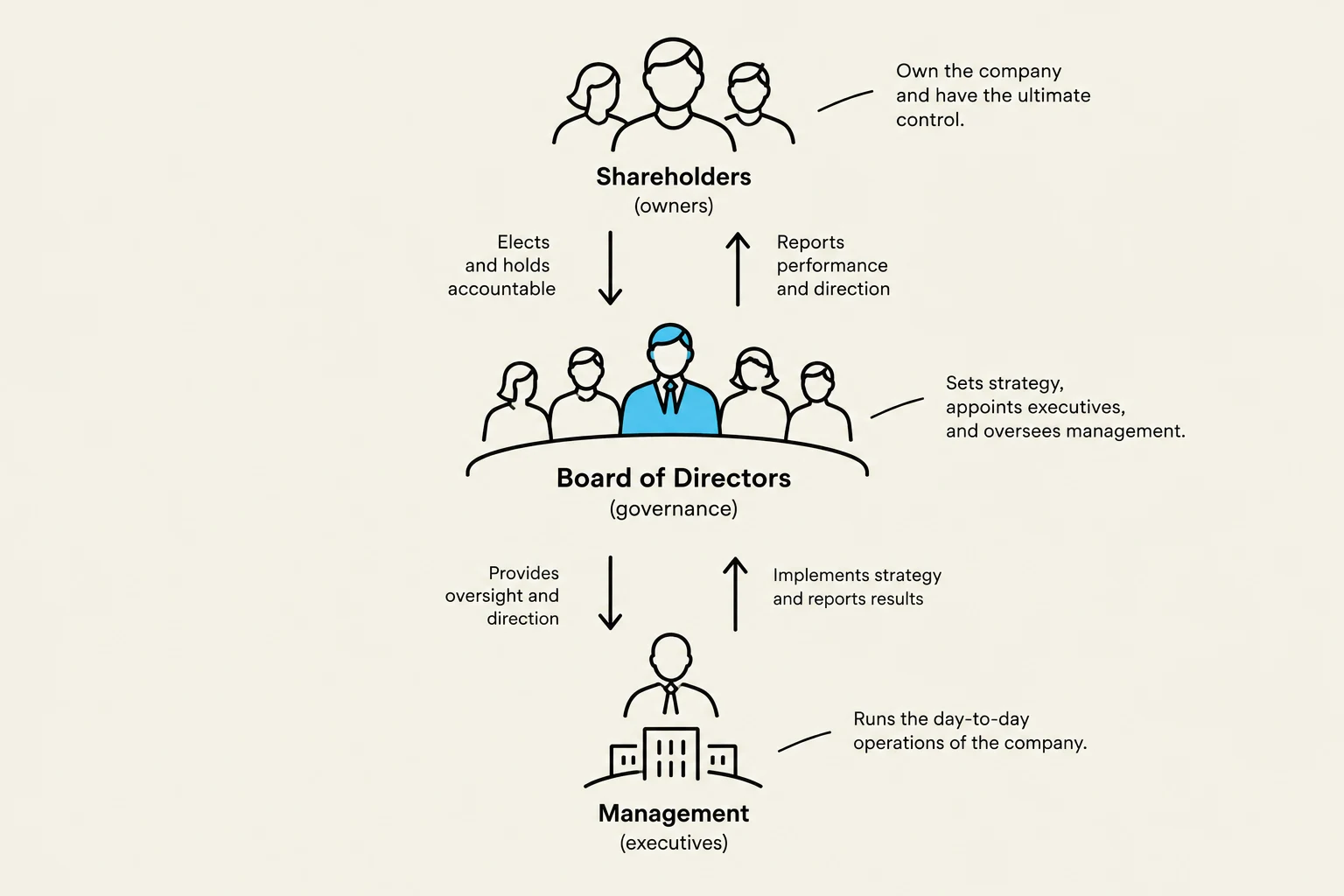 This diagram illustrates the hierarchical structure of a company, showing the roles and relationships between shareholders, the board of directors, and management.