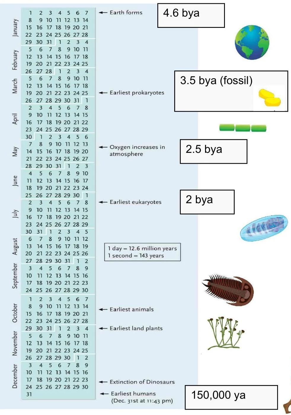 A timeline illustrating key events in Earth's history, from its formation 4.6 billion years ago to the emergence of humans 150,000 years ago, with corresponding visual representations of life forms and atmospheric changes.