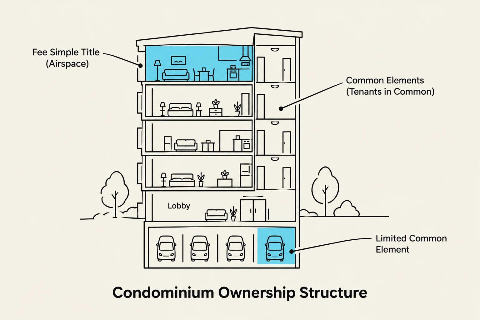 Diagram illustrating the ownership structure of a condominium, differentiating between fee simple title (airspace), common elements, and limited common elements.