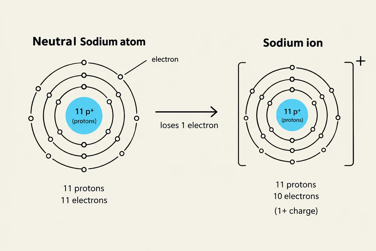 Diagram illustrating the formation of a sodium ion from a neutral sodium atom by the loss of one electron.
