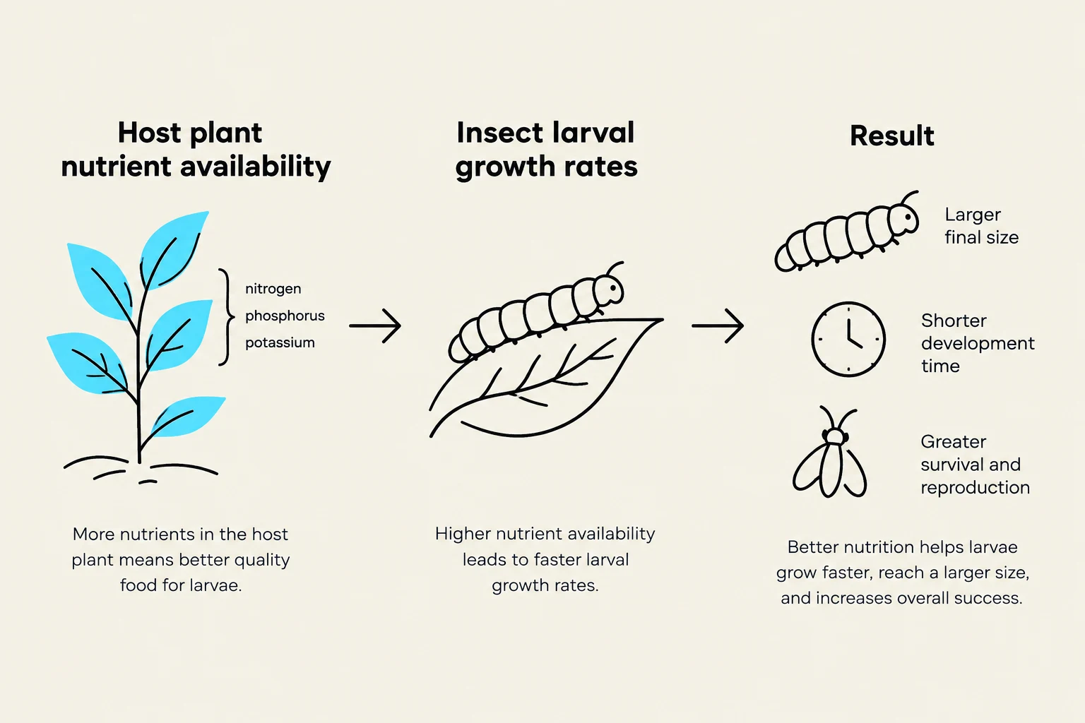 This diagram illustrates how host plant nutrient availability affects insect larval growth rates and their overall success, leading to larger size, shorter development time, and greater survival and reproduction.