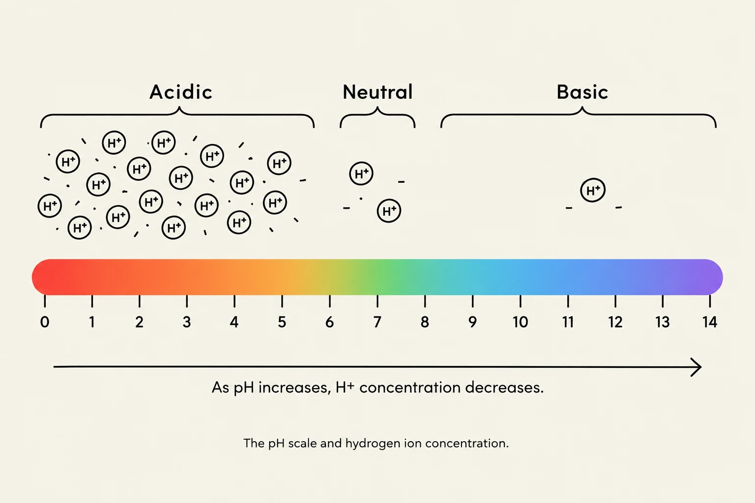 The pH scale illustrates the acidity or alkalinity of a solution, ranging from 0 (acidic) to 14 (basic), with 7 being neutral. As pH increases, the concentration of hydrogen ions (H+) decreases.