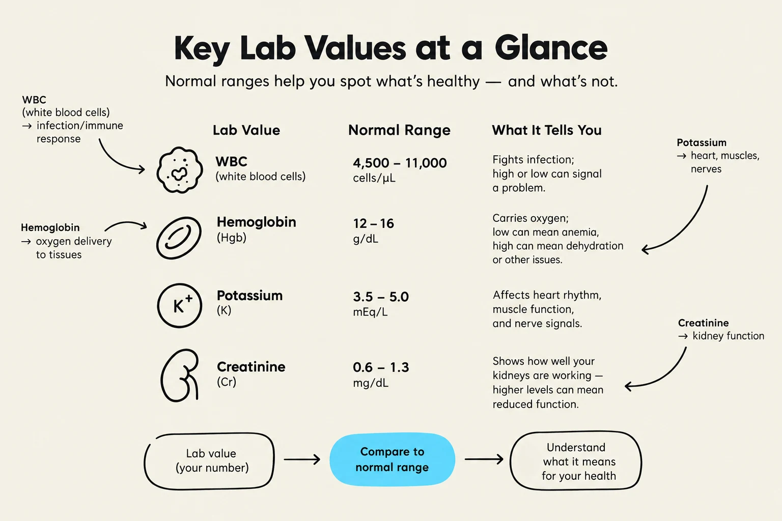 This chart displays key lab values, their normal ranges, and what they indicate about health, including WBC, Hemoglobin, Potassium, and Creatinine.
