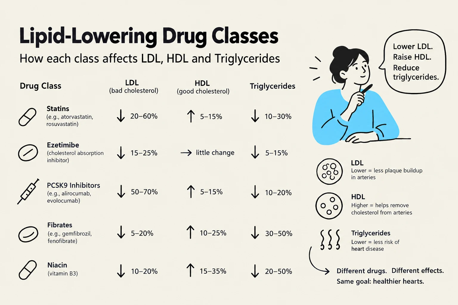 This chart illustrates various classes of lipid-lowering drugs and their effects on LDL, HDL, and triglycerides, along with definitions of these lipids and their health implications.